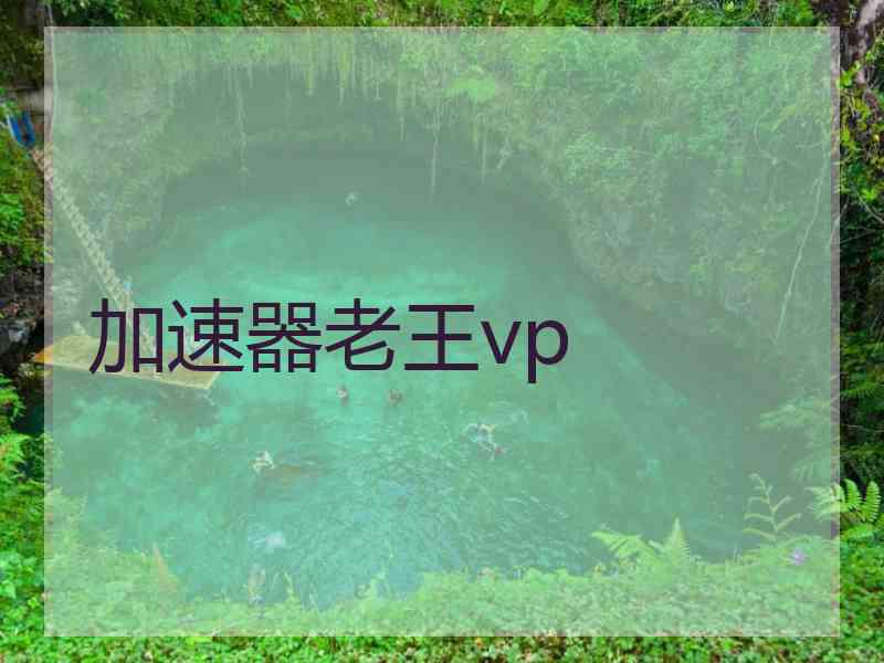 加速器老王vp
