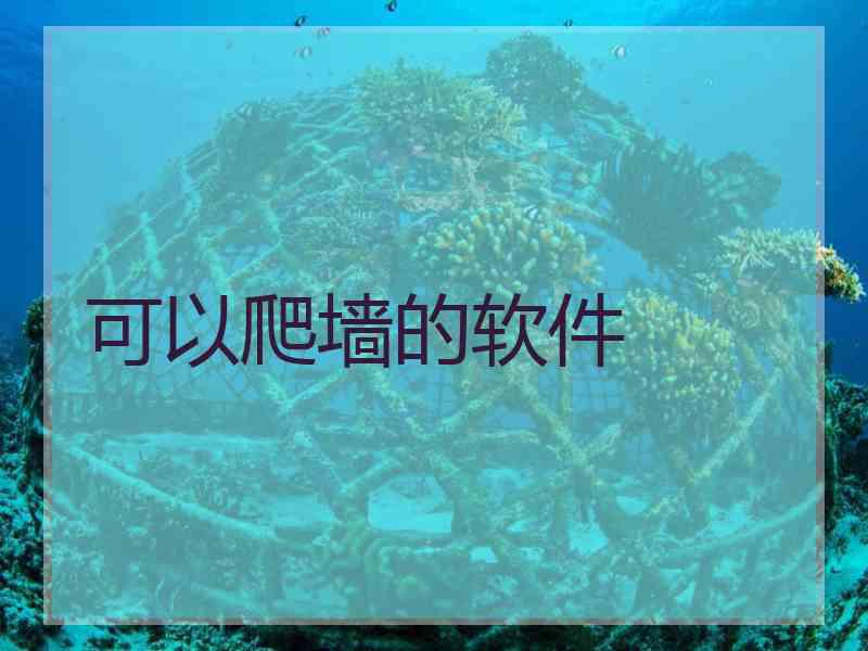 可以爬墙的软件