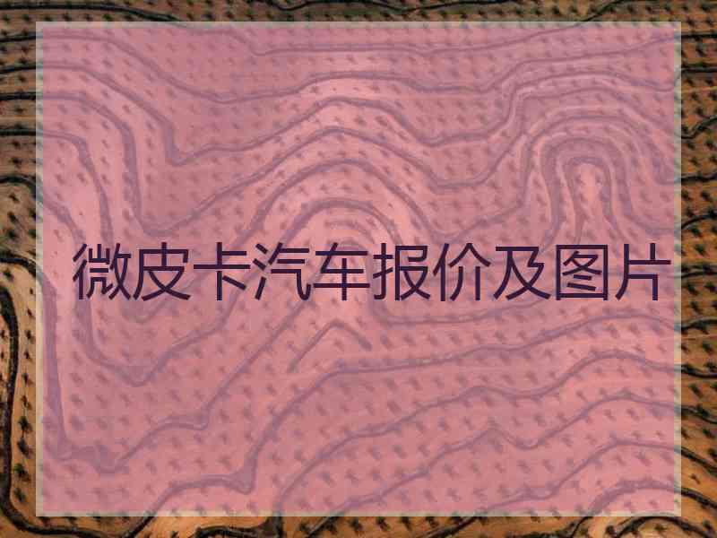 微皮卡汽车报价及图片