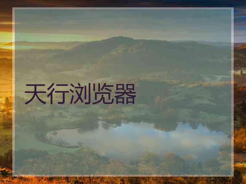 天行浏览器