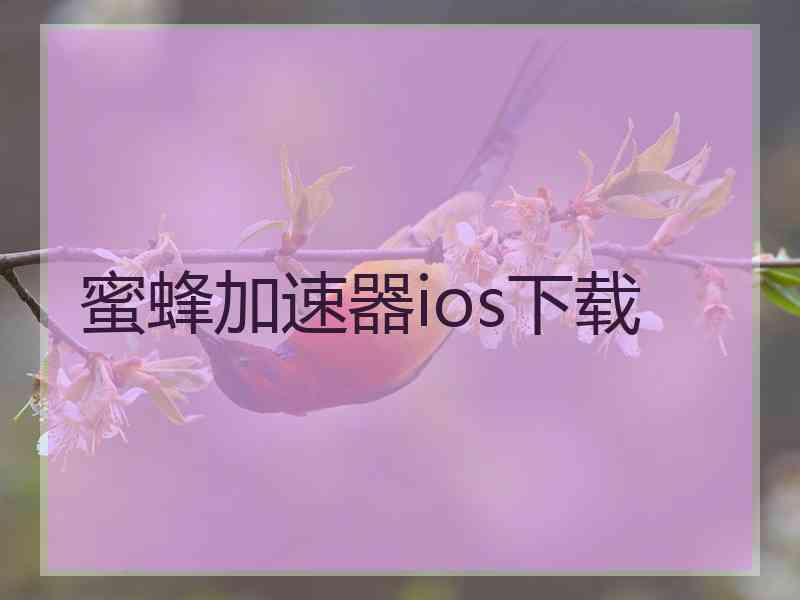蜜蜂加速器ios下载