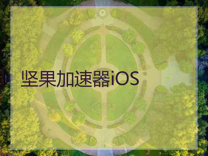 坚果加速器iOS