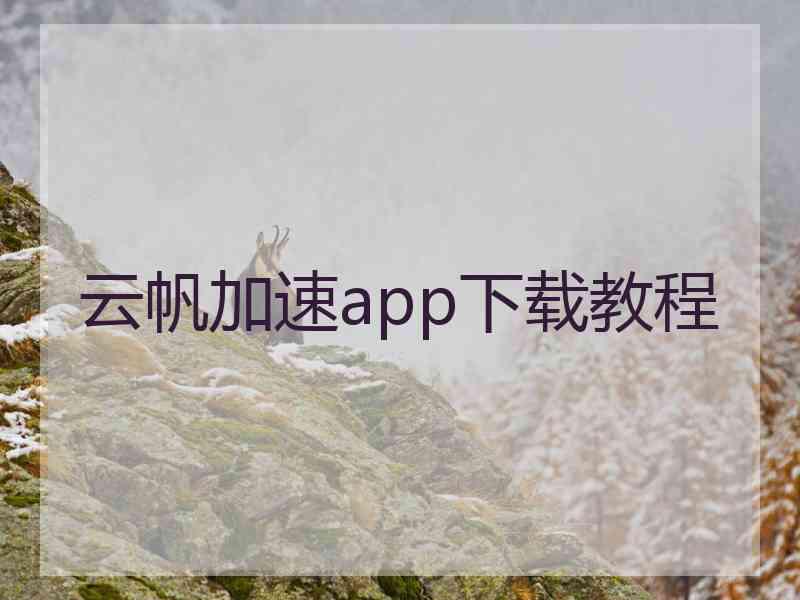 云帆加速app下载教程