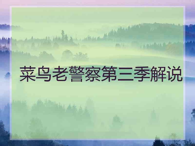菜鸟老警察第三季解说