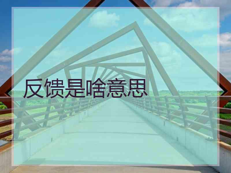 反馈是啥意思