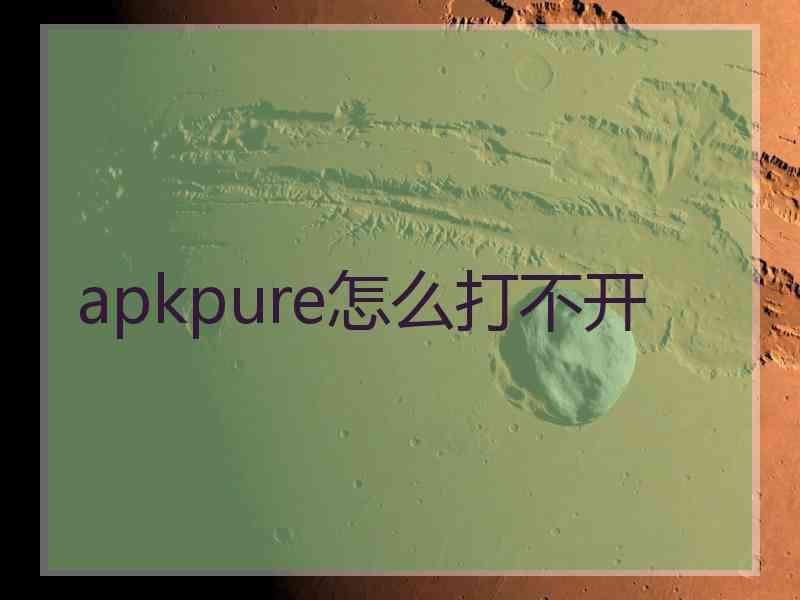 apkpure怎么打不开