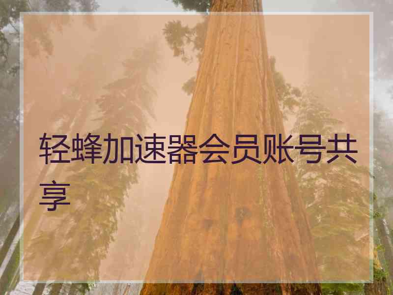 轻蜂加速器会员账号共享