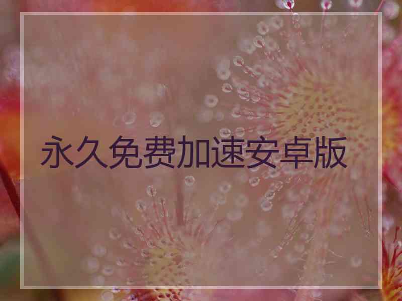 永久免费加速安卓版