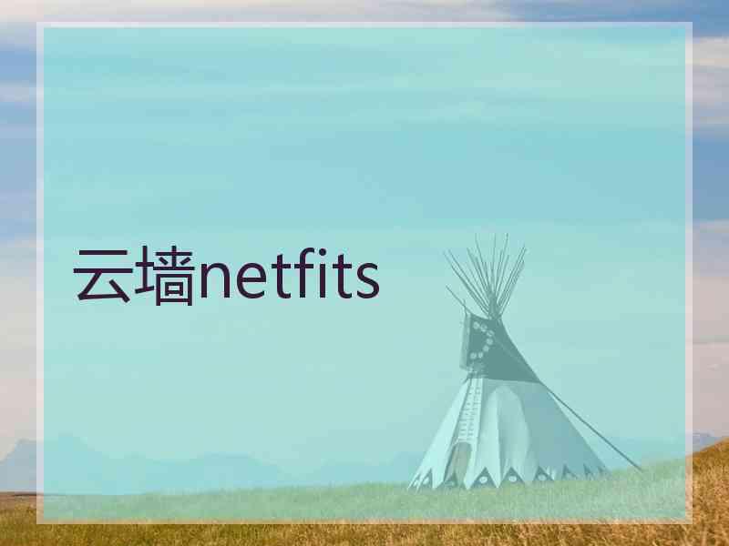 云墙netfits
