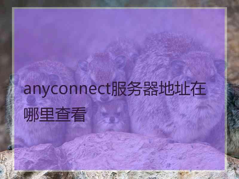 anyconnect服务器地址在哪里查看