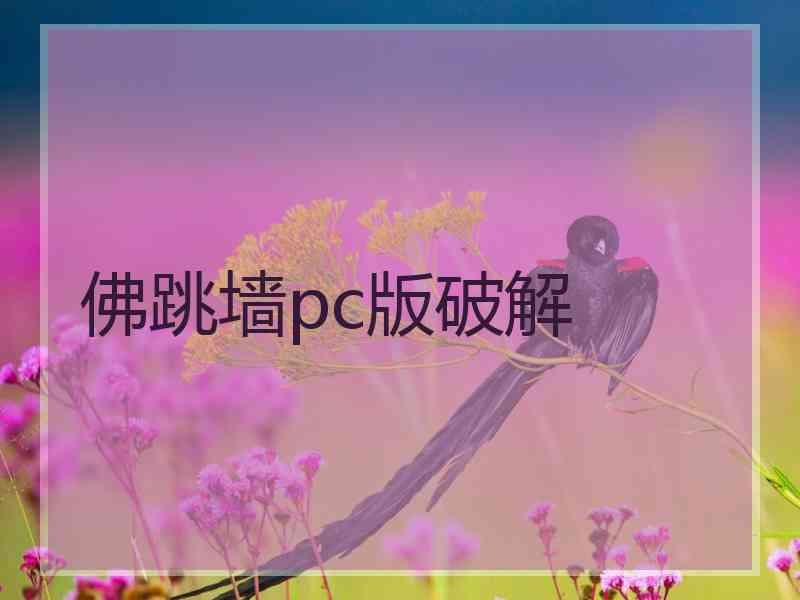 佛跳墙pc版破解