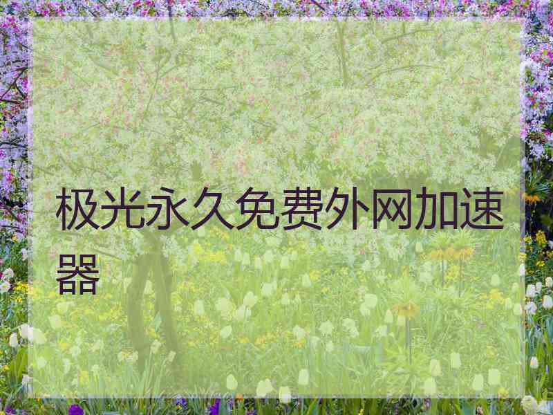 极光永久免费外网加速器