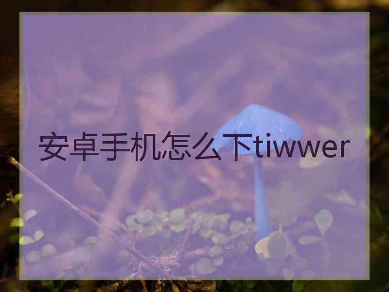 安卓手机怎么下tiwwer