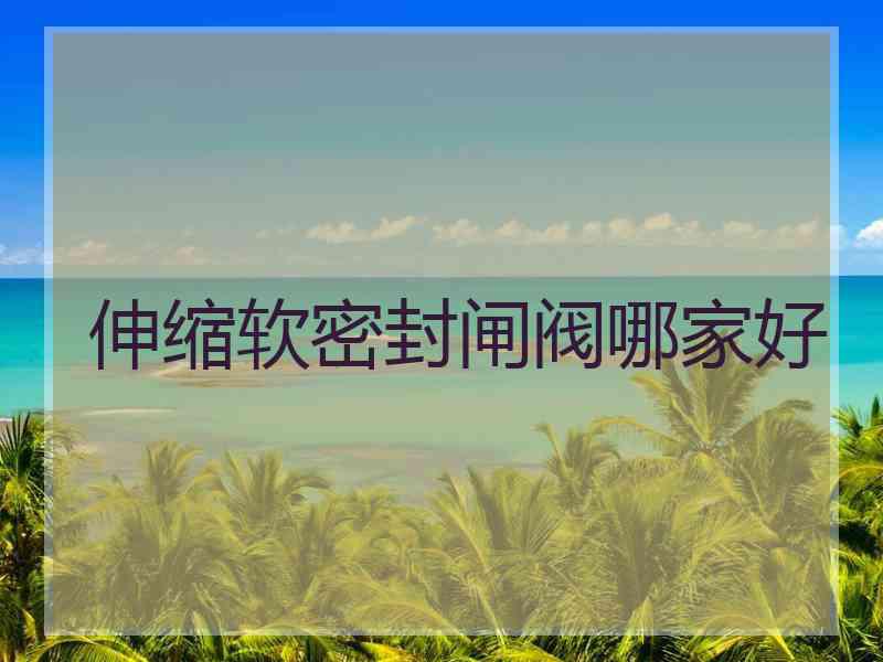 伸缩软密封闸阀哪家好