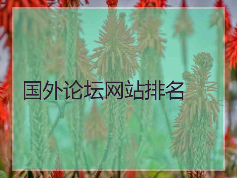 国外论坛网站排名