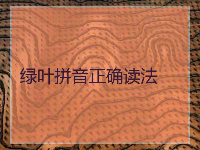 绿叶拼音正确读法