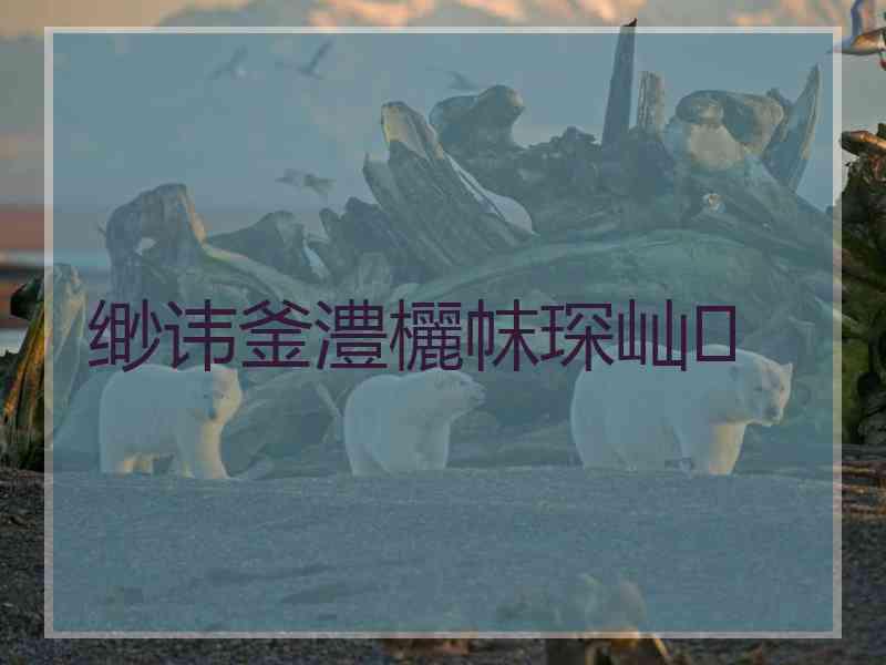 缈讳釜澧欐帓琛屾