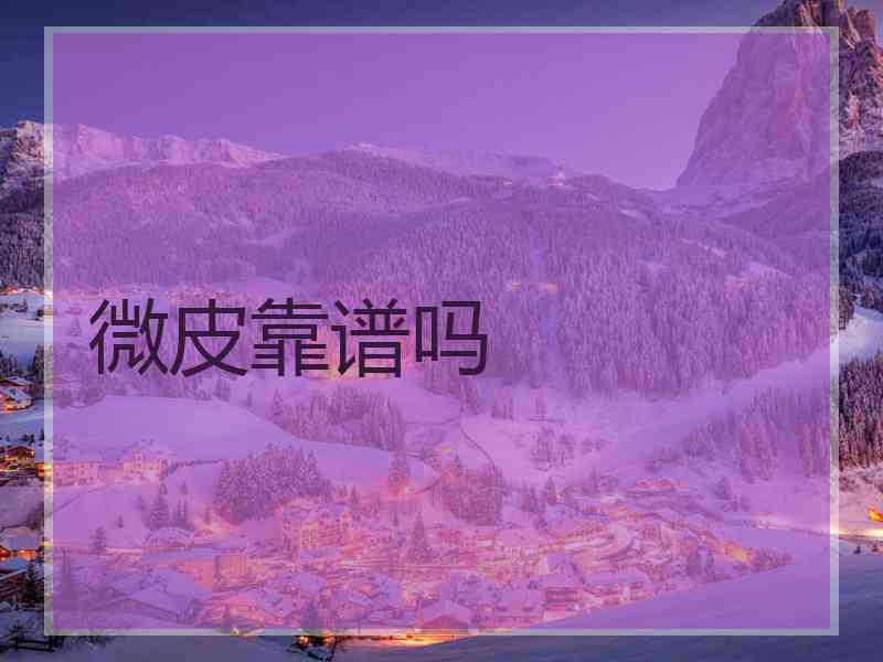 微皮靠谱吗