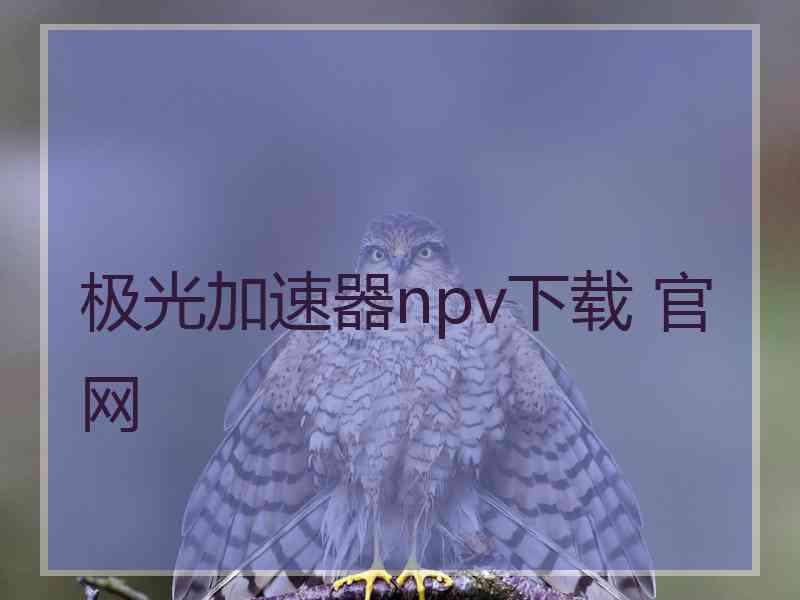 极光加速器npv下载 官网