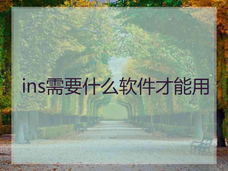 ins需要什么软件才能用