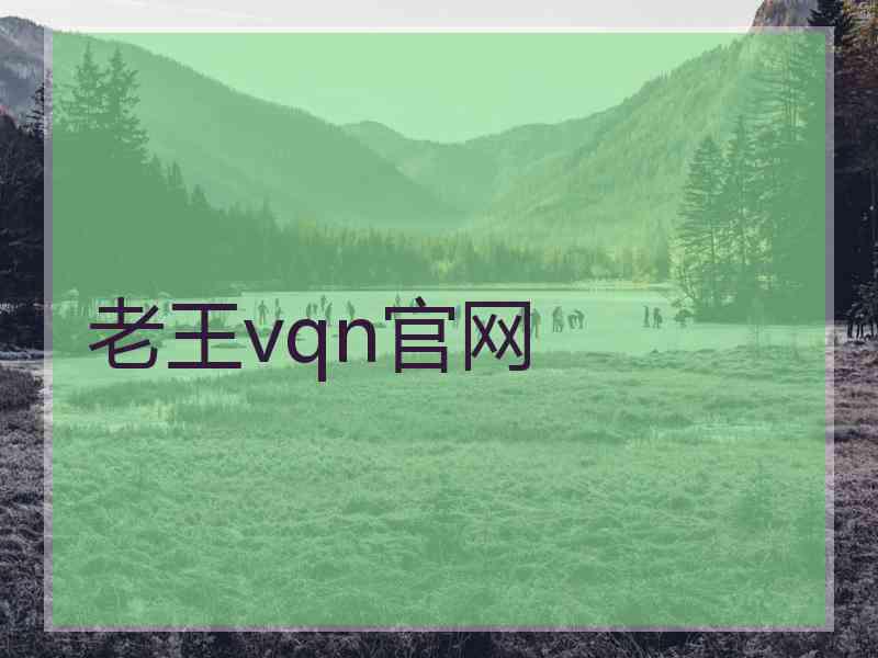 老王vqn官网