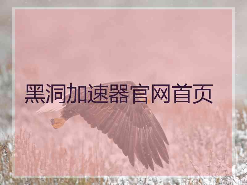 黑洞加速器官网首页