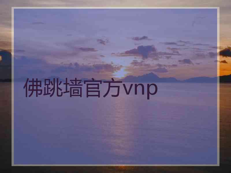 佛跳墙官方vnp