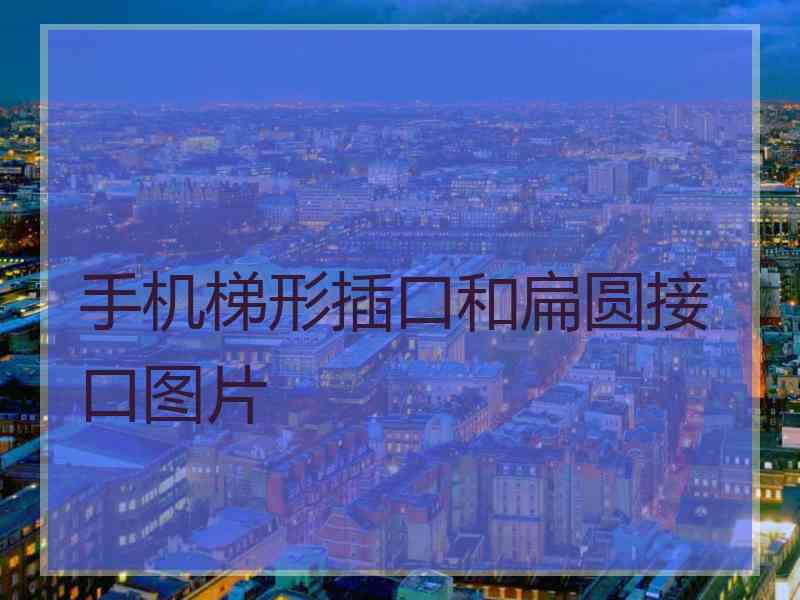 手机梯形插口和扁圆接口图片
