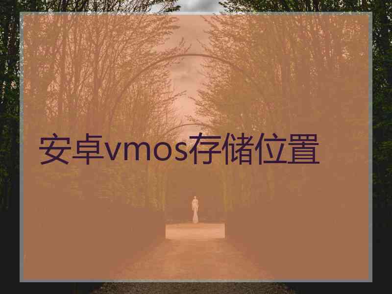 安卓vmos存储位置