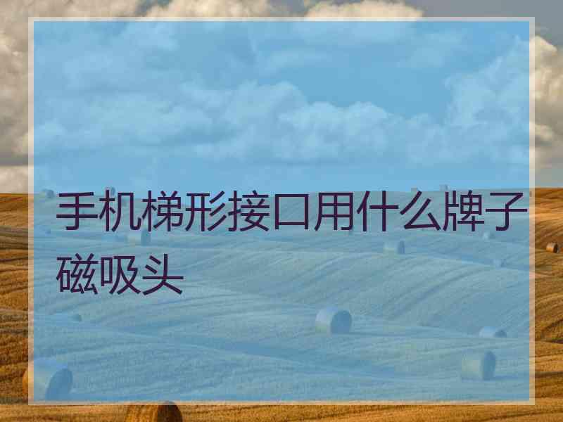 手机梯形接口用什么牌子磁吸头