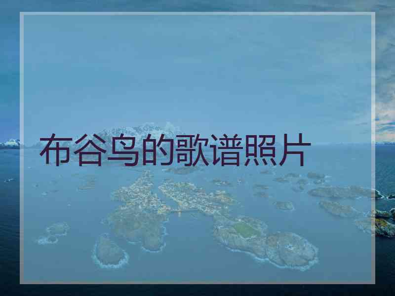 布谷鸟的歌谱照片