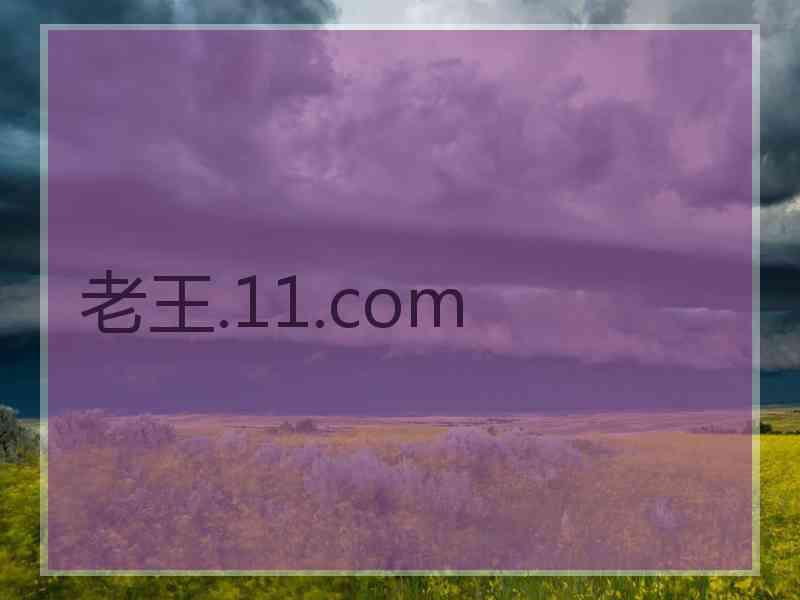 老王.11.com