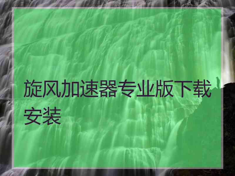 旋风加速器专业版下载安装