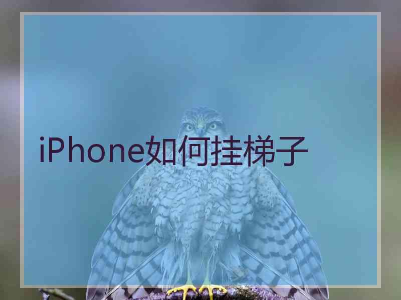 iPhone如何挂梯子